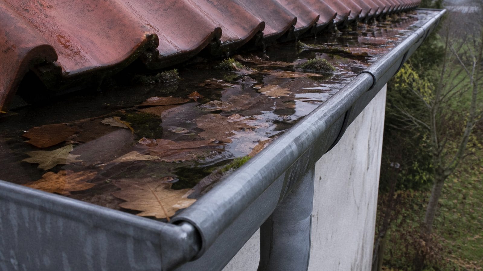 Verstopfte Dachrinne, in der sich Wasser und nasses Laub stauen