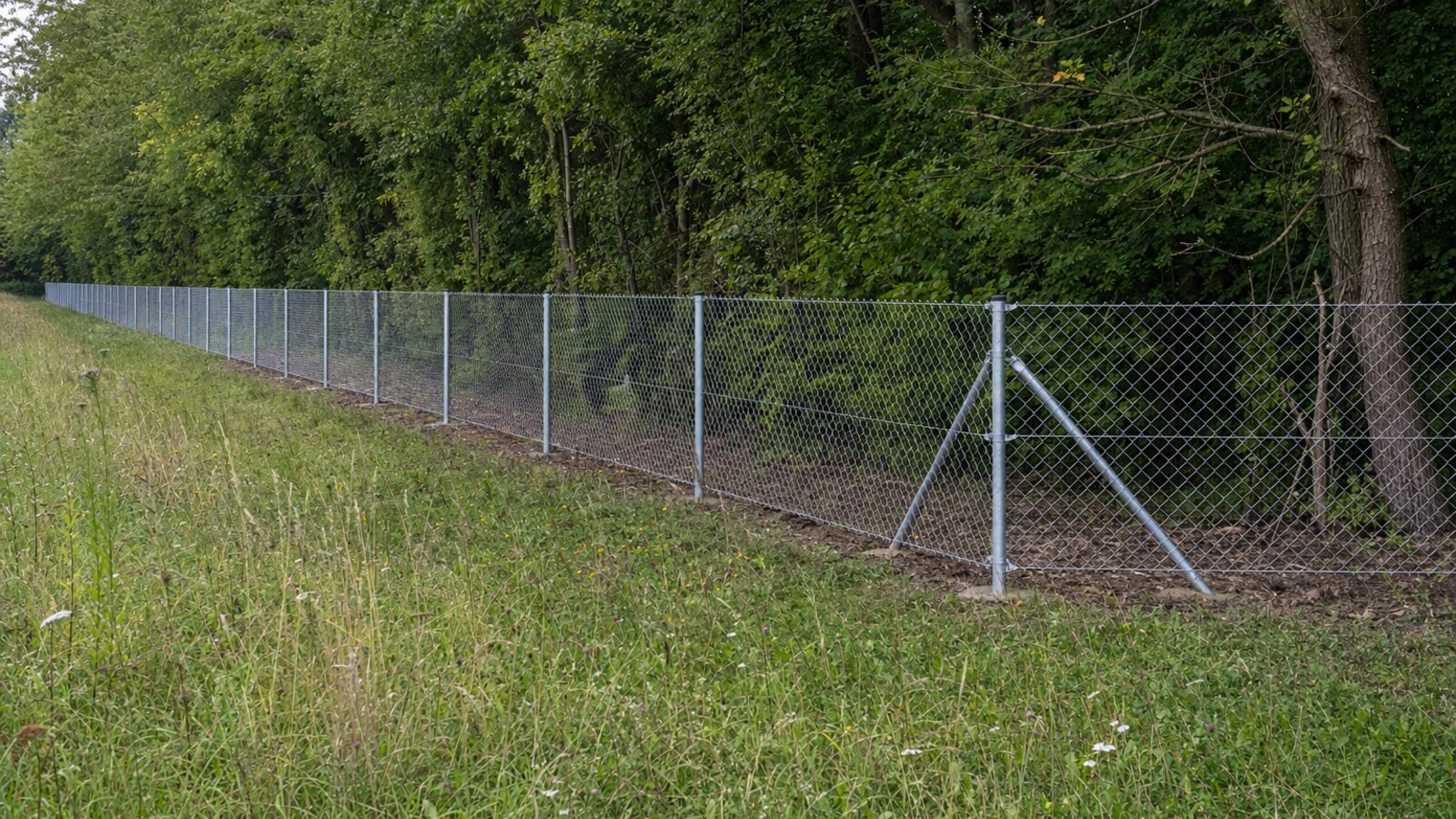 Zaunbau Herten: langer verzinkter Maschendrahtzaun mit Schrägstreben am Waldrand eines Ruhrgebiet-Landschaftsparks